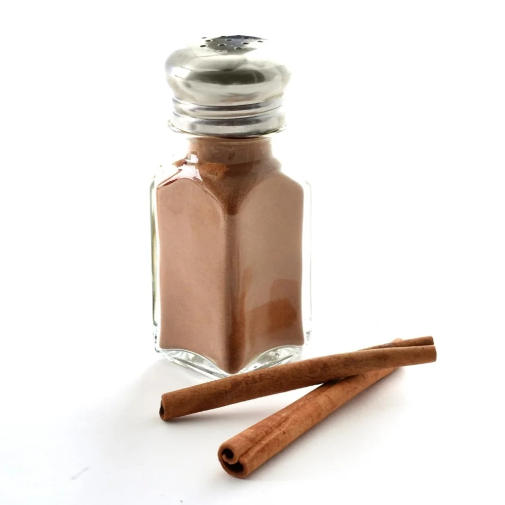 SINGLE Glass Salt / Pepper Shaker / Jar